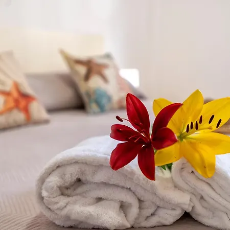 Balearhome Apartament
